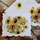 Pochette 10 cartes et 10 enveloppes - Sunflowers