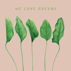 20 Serviettes 100% Bambou 33x33 cm We Love Greens - Chic Mic