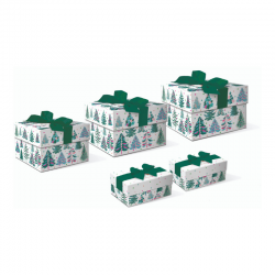 Set boîtes 3 carrées & 2 rectangulaires avec ruban - Washy Trees