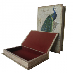Set 2 boîtes livres en bois (2 tailles) - Peacock Blue