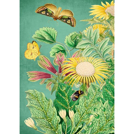 Carte double GM et enveloppe - Botanical (flowers & butterfly)