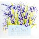 Sachet parfumé en papier - Wild Bluebell (Jacinthe des bois)