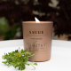 Perfumed candle - Sauge Immortelle