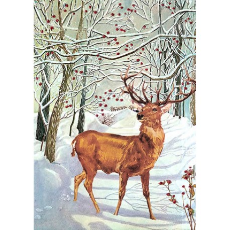 Carte double GM et enveloppe Noel - Deer