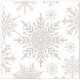 Set boîtes 3 carrées 4 rectangulaires ruban Noel - Silver Snowflake