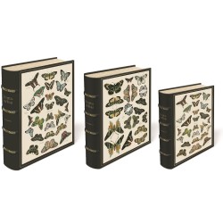 Set de 3 boîtes livres gigognes GM - Butterflies & Moths