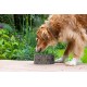 Gamelle chien céramique (taille L) - W. Morris (Canine companion)