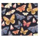 Square box set 3 - Gypsy Butterflies Navy