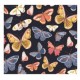 Square box set 3 - Gypsy Butterflies Navy